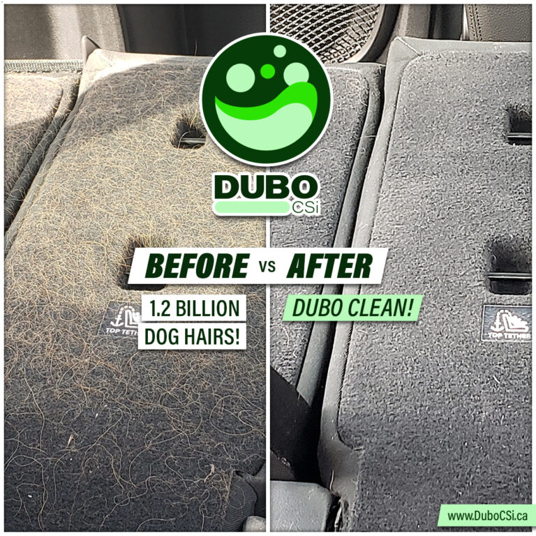 Dubo CSi -Before vs After -Dog Hair Removal