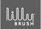 Dubo_CSi_Tool-Lilly-Brush